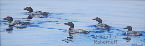 Loon Spring Gathering by Sandra Nahornoff