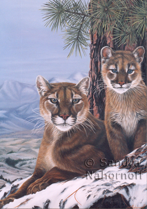 Cougar Haven by Sandra Nahornoff