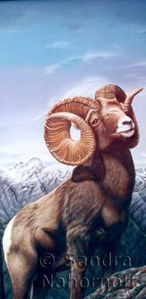 Rocky Mountain Bighorn by Sandra Nahornoff