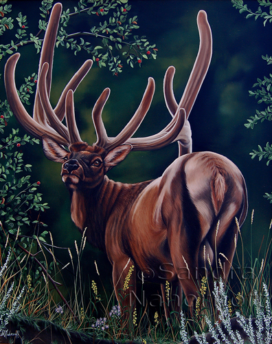 Alerted Original Painting by Sandra Nahornoff