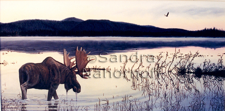 Knight of the Lake Limited Edition Print by Sandra Nahornoff