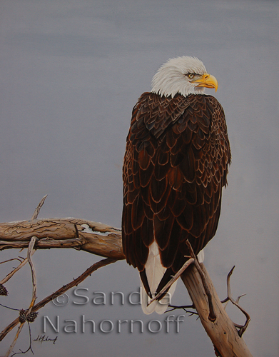 Vigilence Original Painting by Sandra Nahornoff