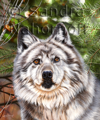The Watcher Original Painting by Sandra Nahornoff